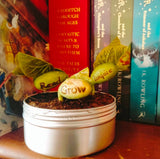 Live Love Bean - Engraved Magic Beans