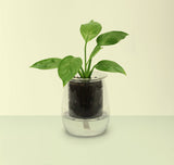 Two Streets Over - Original Gift Ideas for Client referrals
