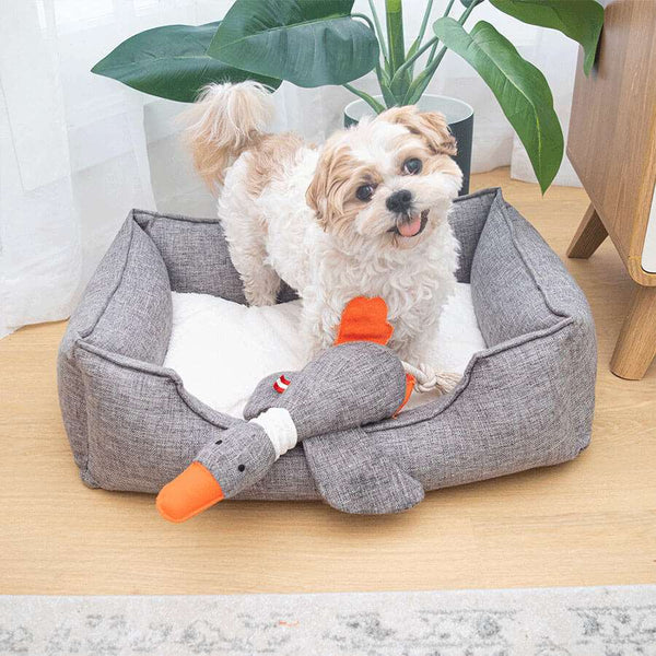 Louie Living - Urban Toy Dodo the Duck