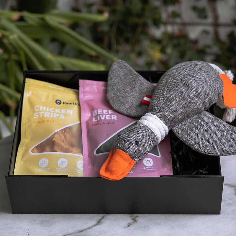 Louie Living - Urban Toy Dodo the Duck