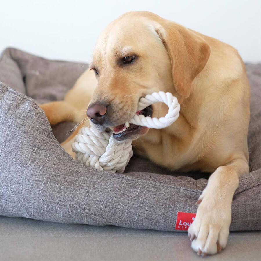 Louie Living - Urban Toy Tug Rope – Two Streets Over