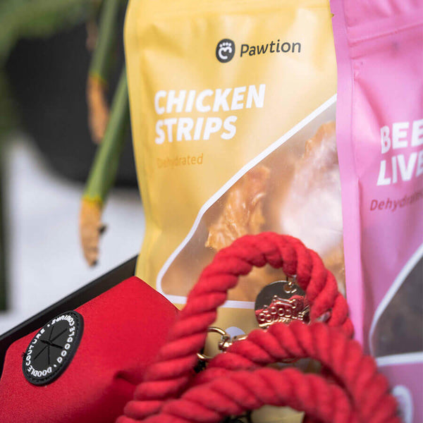 Pawtion - Chicken Strips Dog Treats